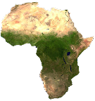 Logo of CharityScorecard