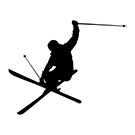 Logo of StashGenius