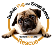 File:BPSBR Wiki Logo.png