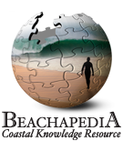 Logo of Beachapedia