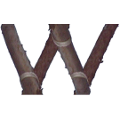 Logo of SpejderWiki