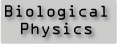 Logo of BiologicalPhysics