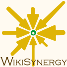 Logo of WikiSynergy