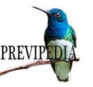 Logo of Previpedia