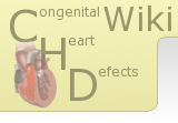 Logo of CHDWiki