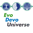 Logo of Evo Devo Universe