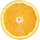 Logo of WaiWiki