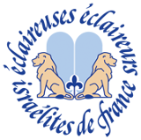 Logo of WIKeiPEDIA