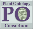 Logo of Plant Ontology Wiki