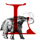 Logo of Lorkas Wiki