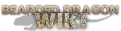 File:Fandom-beardeddragons-sitelogo.png