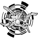 Logo of Free networks