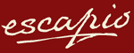 Logo of ApiWiki
