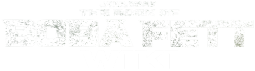 File:Fandom-themandalorian-sitelogo.png