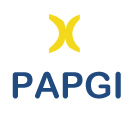 Logo of Papgi.org