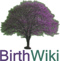 Logo of BirthWiki