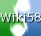 Logo of Wiki58