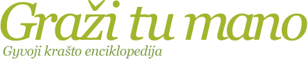 File:„Graži tu mano“ Logo.png