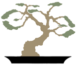Logo of Bike Collective Network Wiki