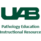 Logo of Pathology Education Instructional Resource