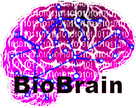 Logo of Biobrain org