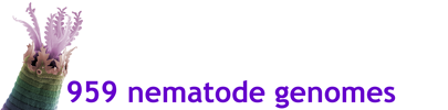 File:959ng header405x100.png