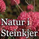 Logo of SteinkjerNatur