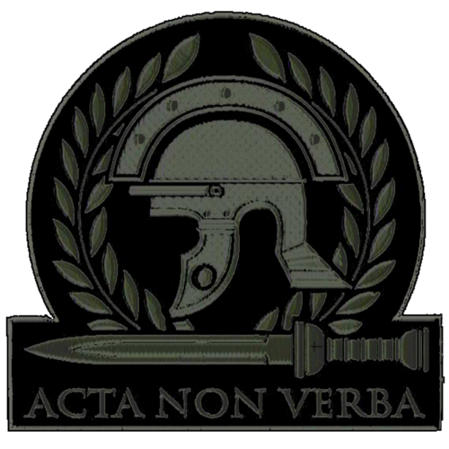 File:Fandom-ace-recon-battalion-sitelogo.png