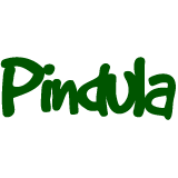 Logo of Pindula