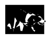 Logo of SheepdogWiki