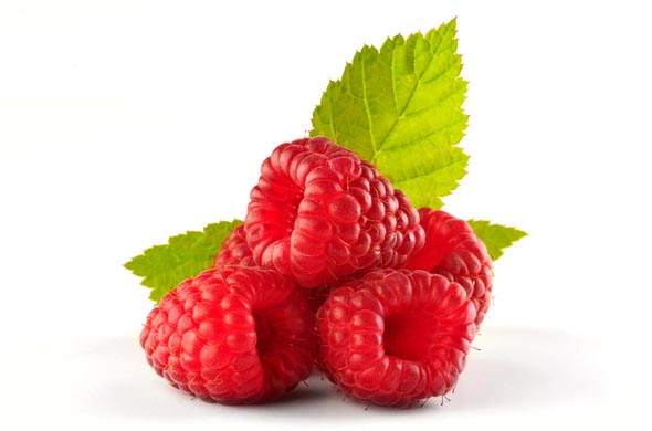 File:RaspBerry Pi Info Logo.jpg