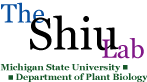 Logo of Shiu Lab