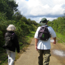 Logo of The Netwalking Club