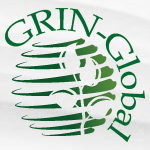 Logo of GRIN-Global (en)