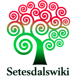 Logo of Setesdalswiki