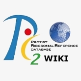 Logo of PR2 Database Wiki
