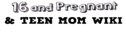 File:Fandom-teenmom-sitelogo.png