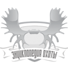 Logo of Wikihunt