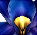 Thumbnail for version as of 23:06, 15 February 2014