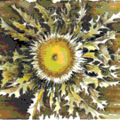 Thumbnail for version as of 20:26, 27 March 2014