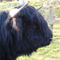 Thumbnail for version as of 15:04, 2 October 2014