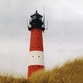 Thumbnail for version as of 16:40, 2 October 2014