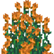 Logo of Bedrock Anarchy Wiki