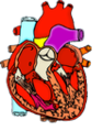 Thumbnail for version as of 14:57, 27 January 2013