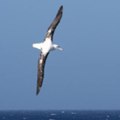 Thumbnail for version as of 14:05, 27 January 2013