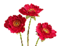 Thumbnail for version as of 00:42, 20 April 2014
