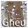 Thumbnail for version as of 05:46, 27 January 2013