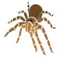 Thumbnail for version as of 13:01, 2 October 2014
