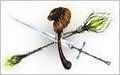 Thumbnail for version as of 14:47, 27 January 2013