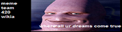 Logo of Meme Team 420 Wiki
